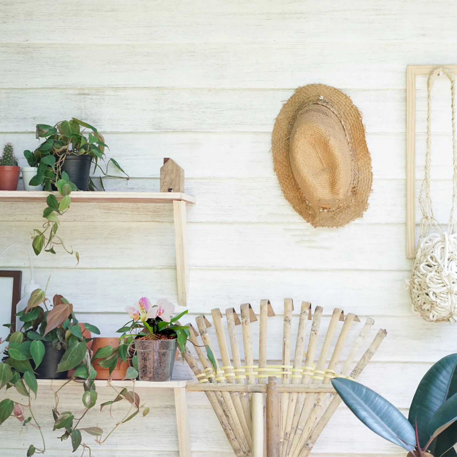 

Набор из 5 простых прозрачных горшков для орхидей с дренажными отверстиями для дышащего роста корней и контроля влажности, для рабочего стола