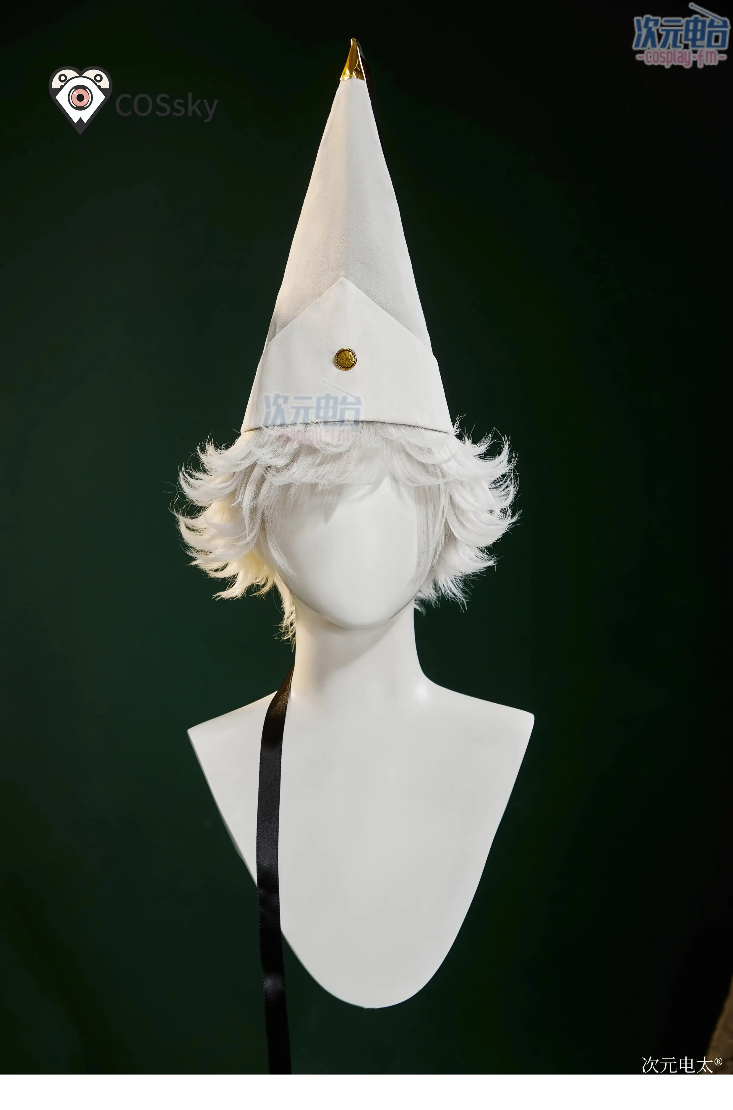 Qifrey Cosplay Anime Witch Hat Atelier Costume Qifrey Halloween Carnival Party Man Cute Wig Cloak full set High quality dress view 4