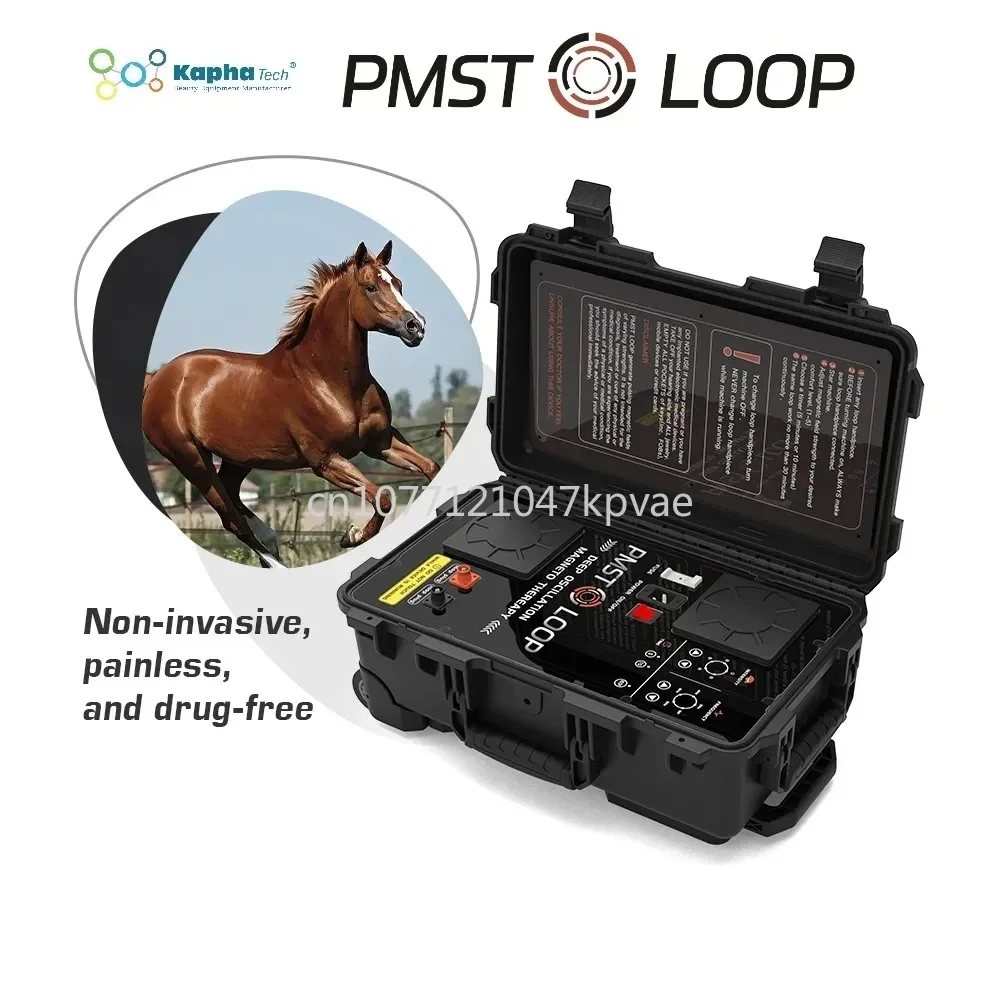 Machine with Single and Butterfly Loop for Animals Treatment Horses PEMF Pulse Electromagnetic Therapy PMST