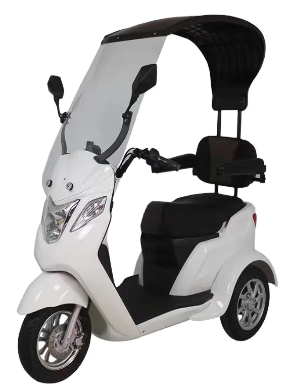 New New Energy Two-seater Small Three-wheel Electric Vehicle 500W