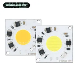 30W Super Bright LED Chip LED Lamp Beads AC 220V 240V Smart IC No Need Driver Cold Warm White DIY For Spot Lights Flood Lights