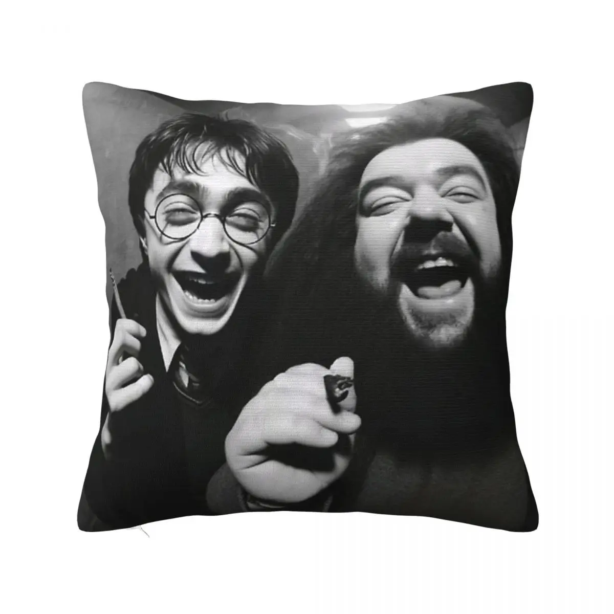 Funny Meme H-Harrying Smoking Pillowcase Printed Cushion Cover Decor Throw Pillow Case Cover Home Drop Shipping 40*40cm