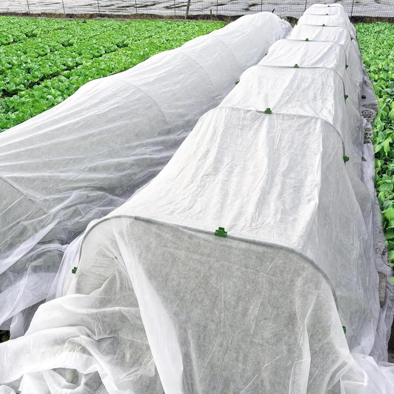 

Frost Blankets For Outdoor Plants 10X30FT Frost Protection For Outdoor Plants Cloth Fabric Covering For Vegetable Garden