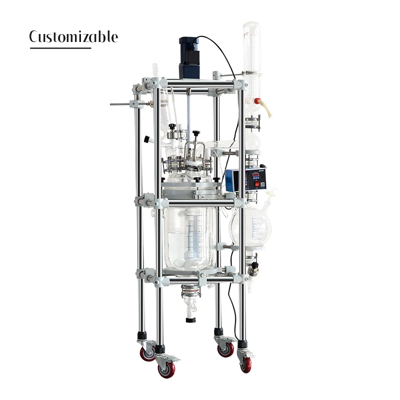 

20L 50L Jacketed Bioreactor Laboratory Chemical Glass Reactor
