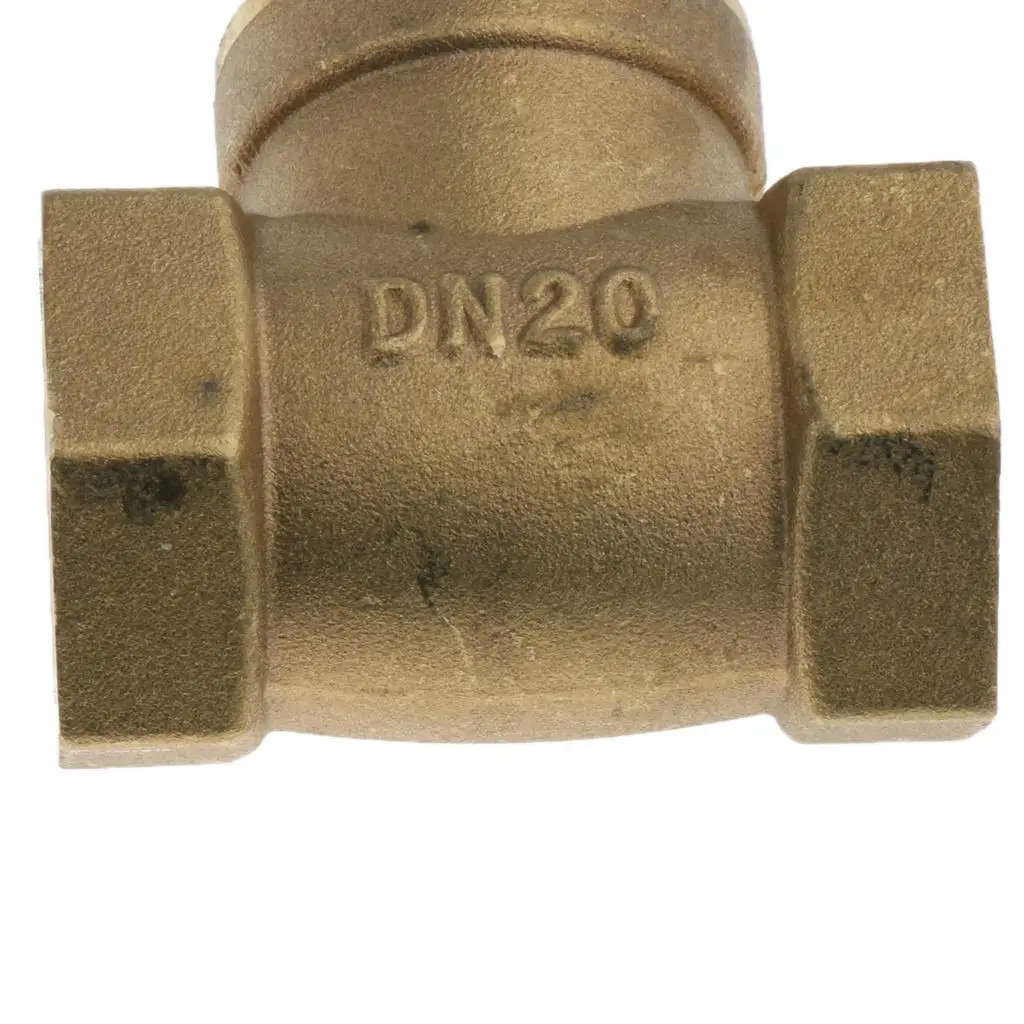 Copper Material Non Return Fuel Check Valve 3 4 Inch Brass Thread Insert for Petroleum Chemical Usage