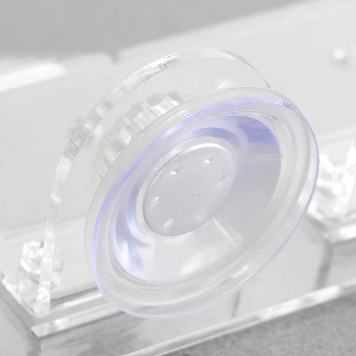 

Turtle Dock Basking Platform Floating Pier With Suction Cups White Size S For Turtle Tank Decor Suitable Fresh Salt Water