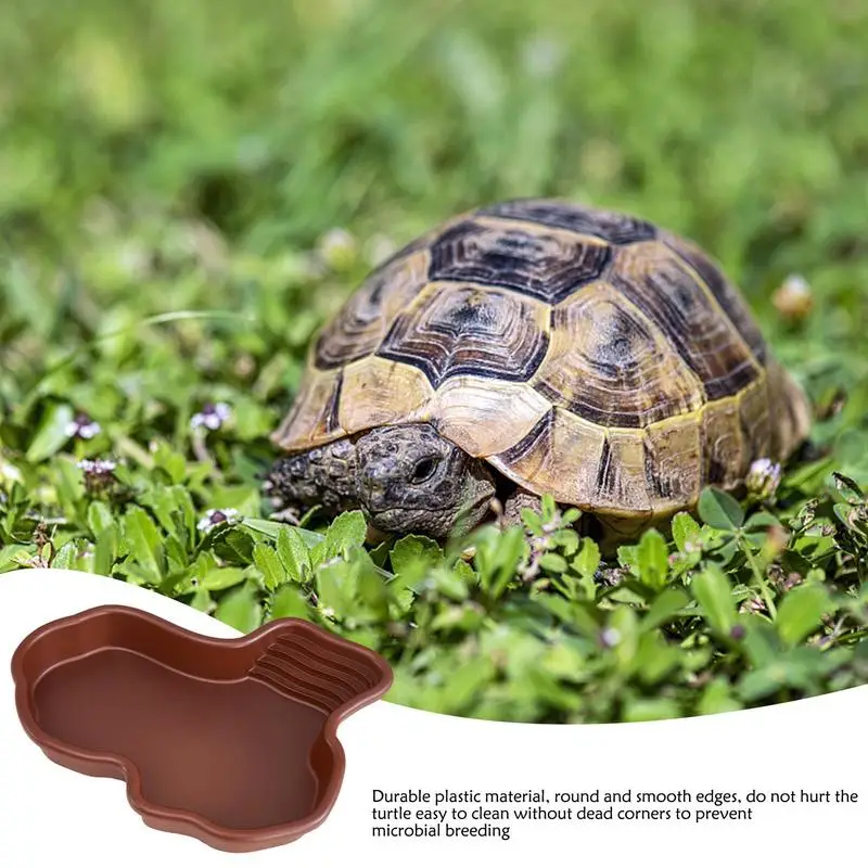 Home Turtle Extra Large Bath Tub Plastic Fish Tank Landscaping Pieces Tortoise With Ramp And BaskingPlatform Reptile Pet Feed