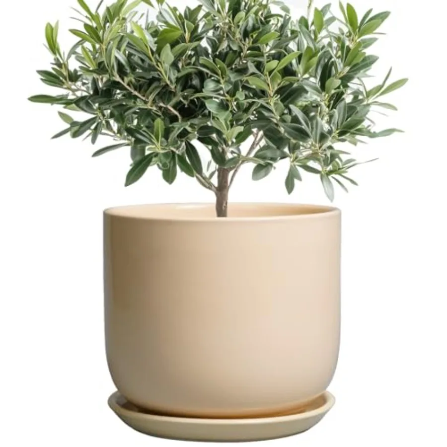 

Ceramic Planter - Round Modern Plant Pot with Drainage Hole and Saucer for Flowers Herb Home House Office Room Apartment Decor