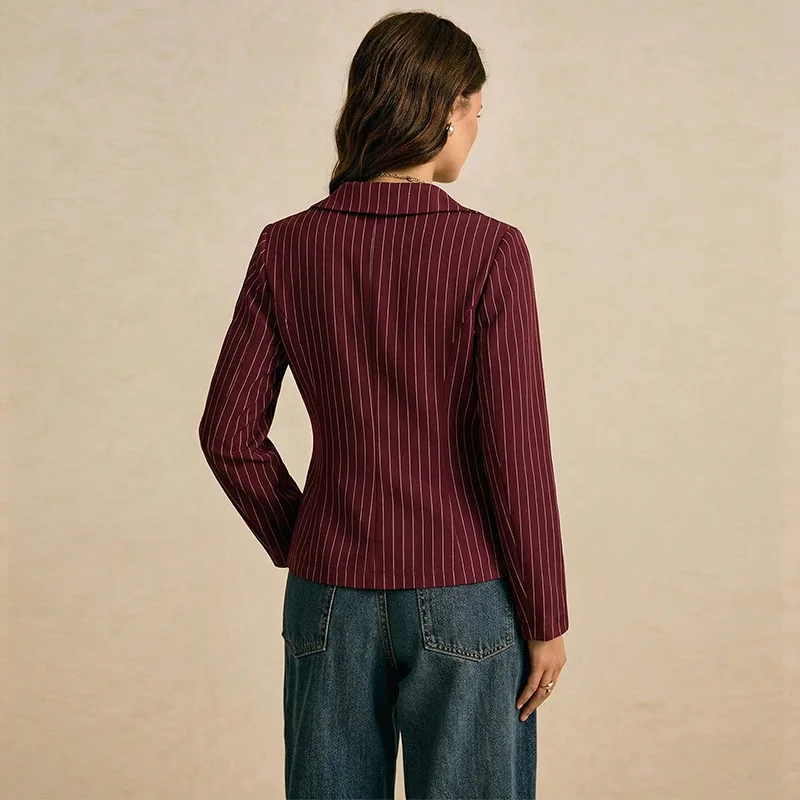 Camicetta da Donna Nuova a Righe, Slim Fit, con Pizzo, Maniche Lunghe, Scollo a V, Elegante, Comoda, Casual, Snellente e Versatile