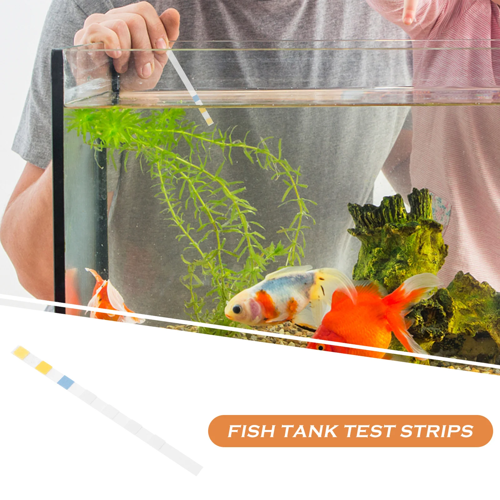 

Water Quality Testing Reagents Aquarium Strips Fish Tank Nitrite Tester for Drinking Kits Clarifier