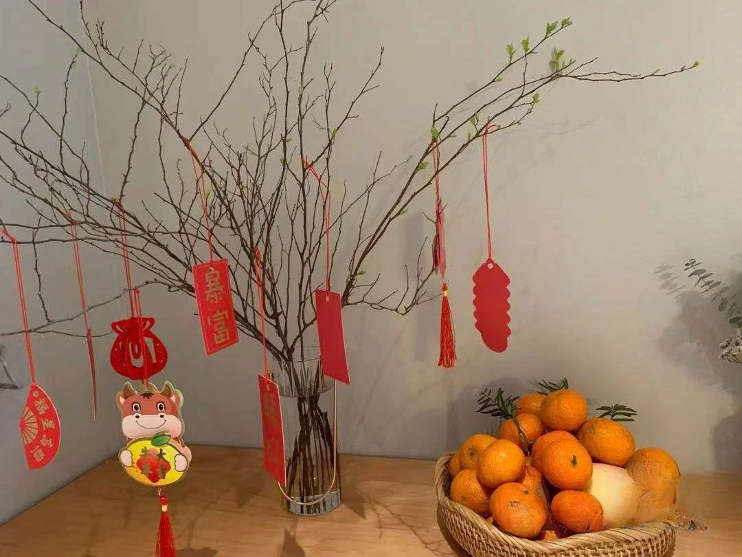 خزانة أحذية من الخشب الصلب الاسكندنافي، فن ياباني بسيط، خزانة بهو من الخيزران، شقة يابانية صغيرة رفيعة للغاية