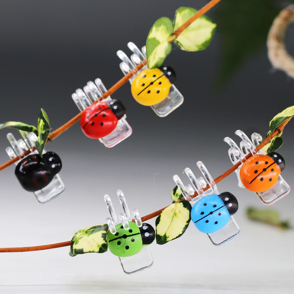 12PCS 6 Colors 5-Claw Ladybug Orchid Clips Garden Plant Support Clamp Climbing Flowers Vine Fixer Ladybird Bonsai  Decoration To