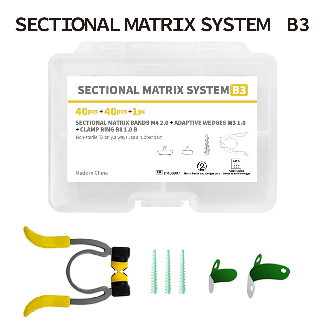 Système de matrices sectionnelles dentaires B3 ou anneaux de fixation NiTi R8 pour la dentisterie pédiatrique (dents de lait et jeunes dents permanentes)