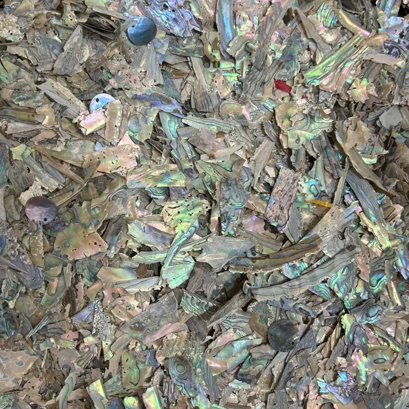 200g/bag New Zealand Abalone Shell Nail Flakes - Colorful Iridescent Fragments for DIY Nail Art & Craft Accessories