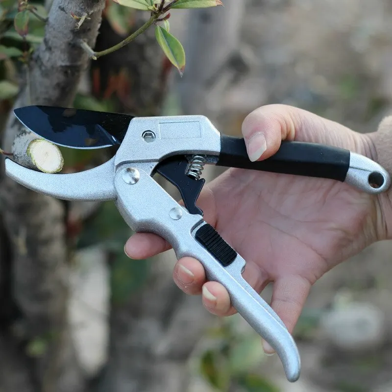 Coltello da taglio per potatura da giardino da 20cm cesoie da potatura per piante da agricoltura professionale forbici da innesto forbici per alberi