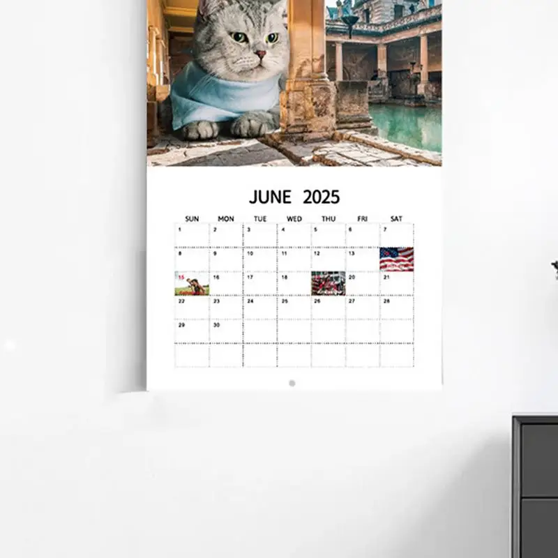 12 Mês Cat Calendar, edifícios icônico Wall Calendar, grandes gatos interessantes, Terra, enforcamentos, 2025