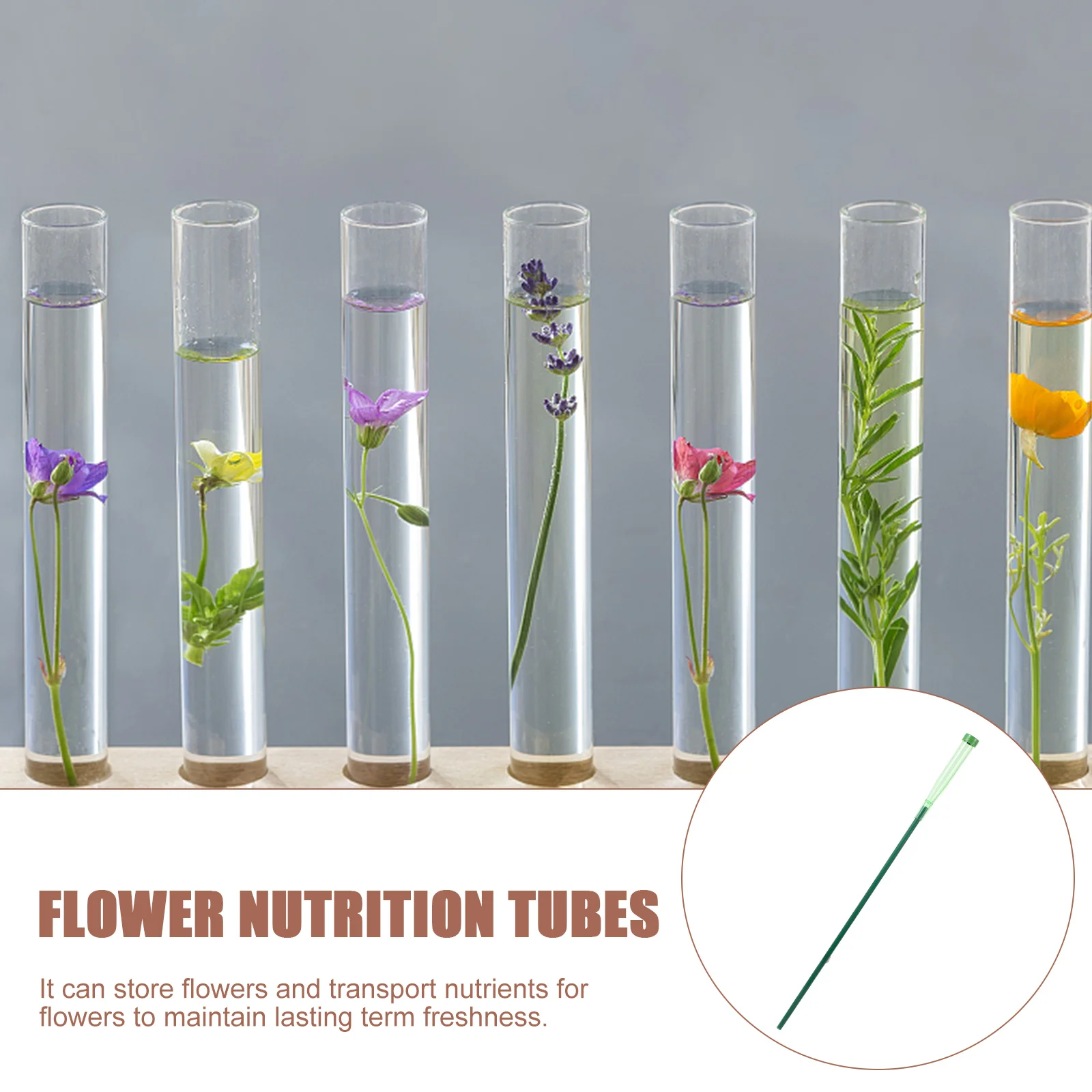 

5 set Floral Water Tubes Small Plastic Flower Vials For Fresh Flower Preservation Bouquet Storage Tube Horticulture Supply