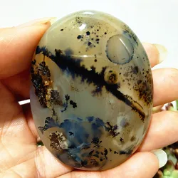 Natural Stone Waterplant Plant Small Tree Agate Palm Stone Meditation Spiritual Yoga Cure Feng Shui Crystal Ornament