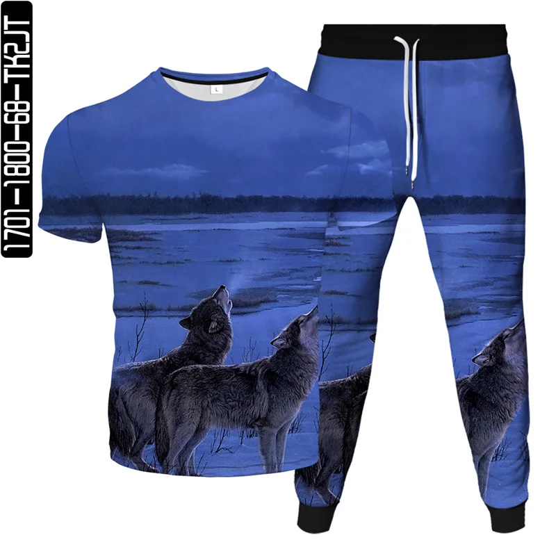 Herren übergroße T-Shirt Hosen Sets Harajuku Tier Wolf Print zweiteilige männliche Trainings anzug Kleidung Kurzarmhose Anzüge 6xl