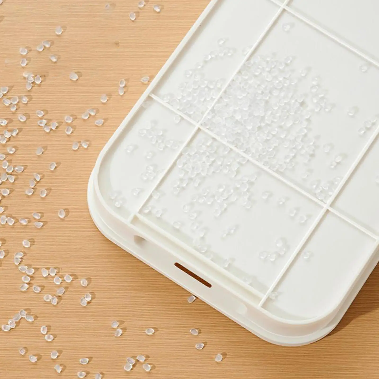 

Sprout Tray Soil-Free Propagator With Lid Cultivation Germination Tray For Bean Pea Wheatgrass Growing Planting Cultivation