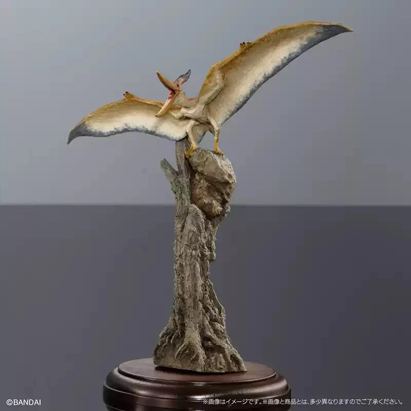 بانداي لعبة أصلية ايكيمونو تايسيو أدفانس ديناصور ألوصور ستيجوسورس سيتابات غاشا أنيمي عمل نموذج أرقام جمع #2