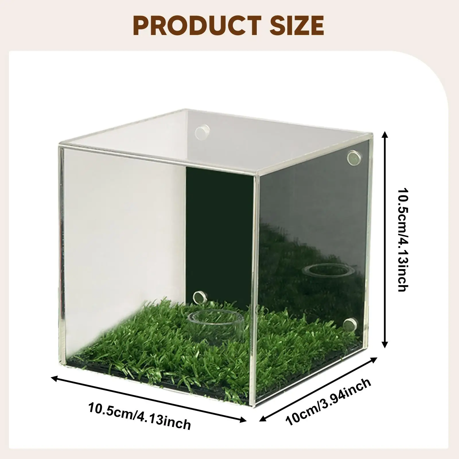 حقيبة عرض كرة الجولف متعددة الأغراض مع قاعدة عرض واقية شفافة #6