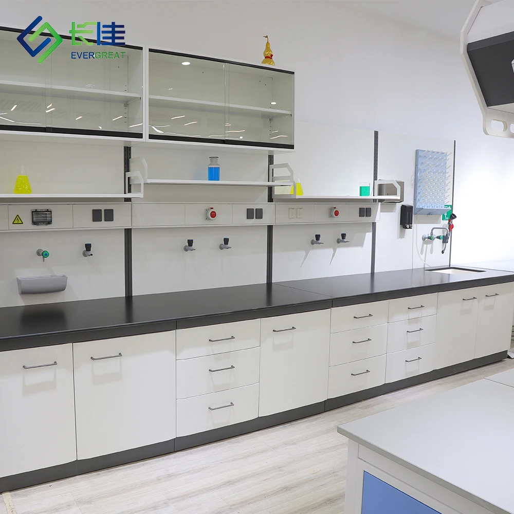 

Modern Steel Strong Corrosive Lab Bench 12.7mm Phenolic Resin Worktop Electrical Outlets Schools Hospitals Clean Rooms CE RoSH