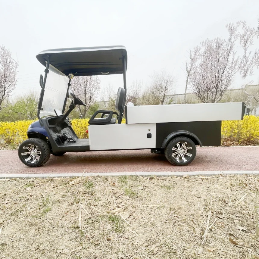 

Small Farm 2 Seats 4000/5000/7000W 60V 72V Lithium Utility Vehicle Electric Golf Cart With Off-Road Tires Rear Cargo Box