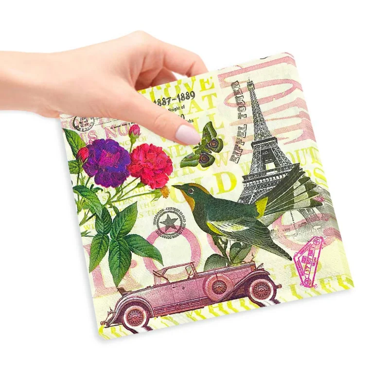 Disposable Party Napkins Colourful Printed Parisian Bird Print Coloured Napkins 2 Ply Paper Towels Odourless 20pcs