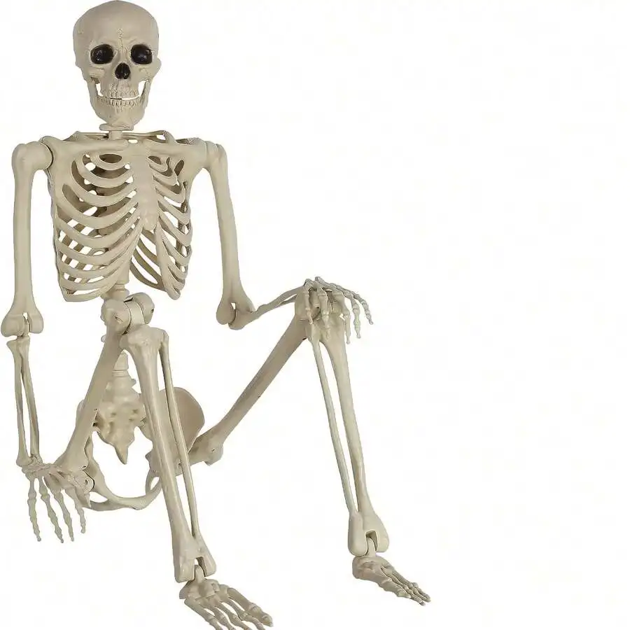5.4-Foot Flexible Life-Sized Adult Skeleton Made Of Plastic,Featuring Movable Joints, Decorative Sign Plaque Perfect For Halloween Decor.Decorative Statues,Decorative Statues