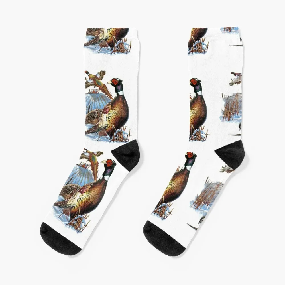 

Pheasant Farm Socks cool shoes Toe sports Wholesale Socks For Girls Men's