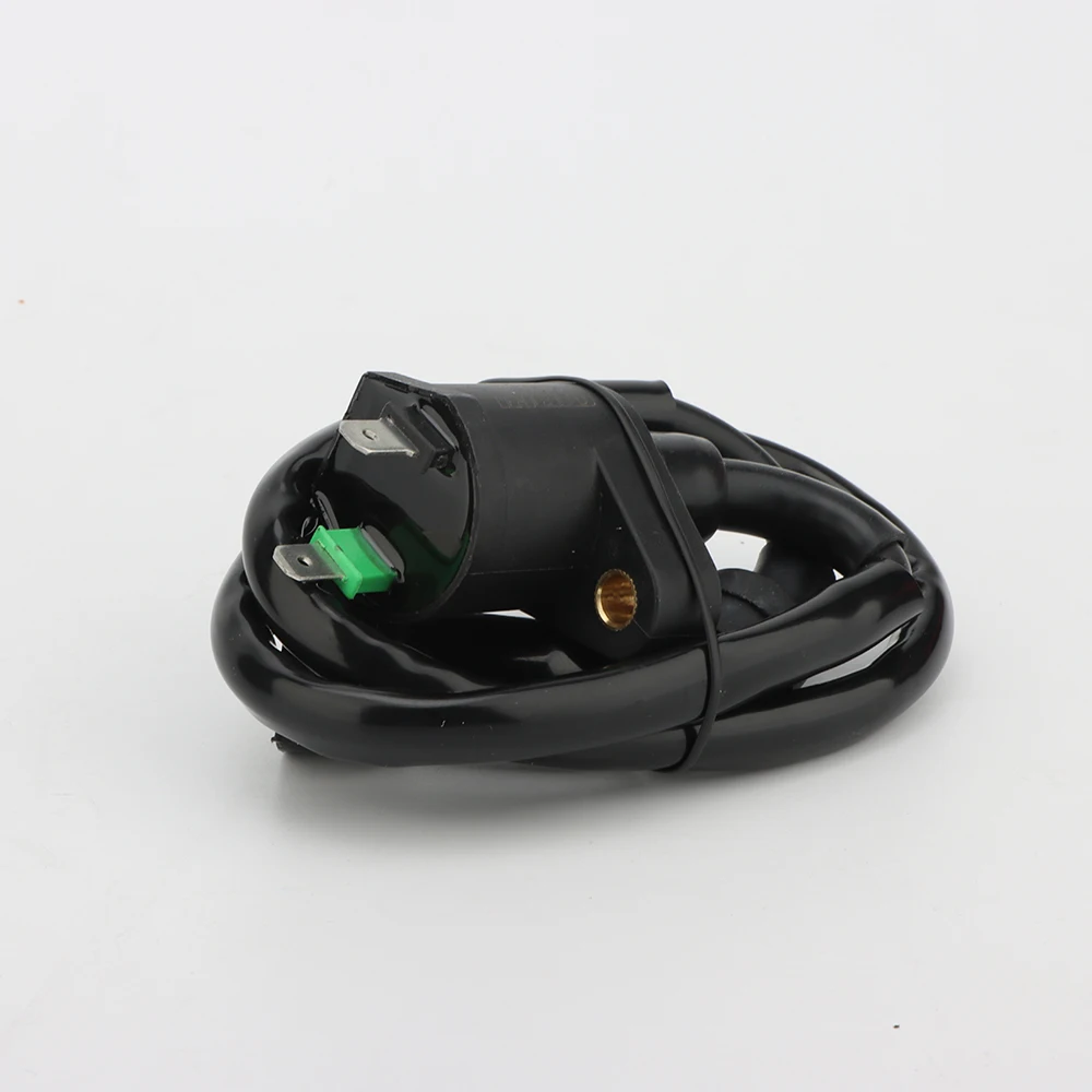 NIBBI Zündspule Hochdruck-Zündspule für GY6 50cc 125cc 150cc 170cc 200cc 250cc Motoren Motorrad Moped Roller ATV – Detail 3