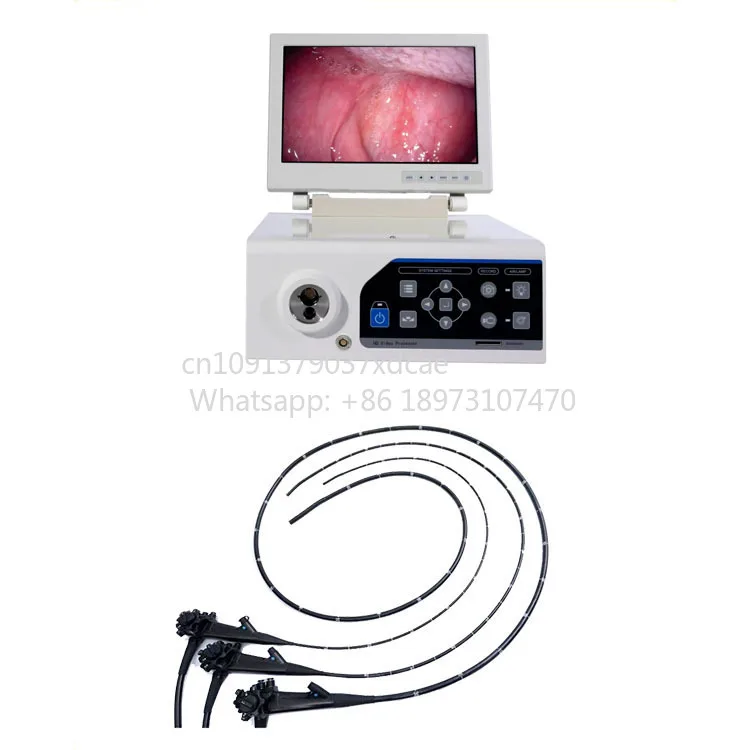 2026 New All In One Veterinary Endoscope Kit Flexible Rigid Endoscopy Set For Animal Hospital Clinic