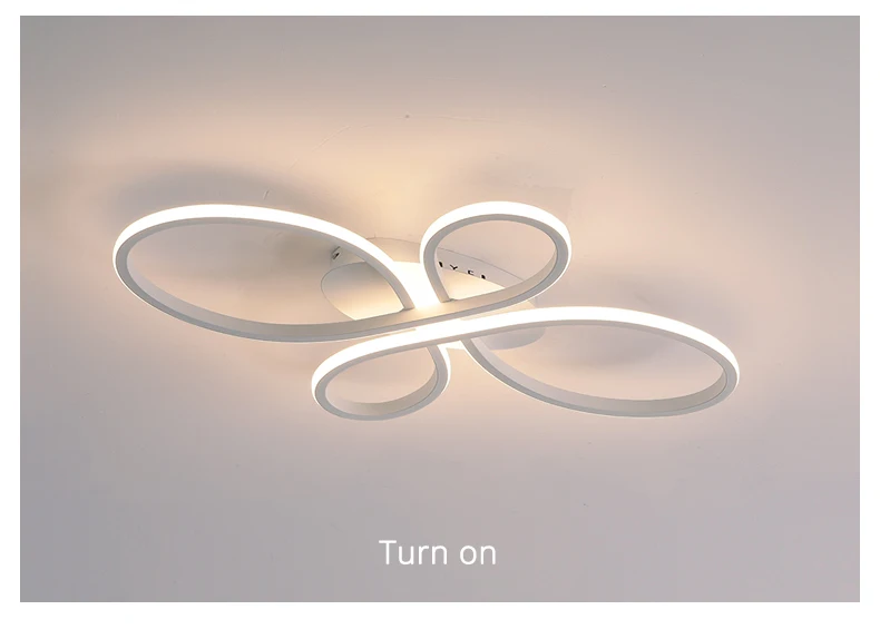 Modern LED Ceiling Light Nordic Creative Indoor Lighting Decoration Accessories for Living Room Study Room Bedroom Light Fixture