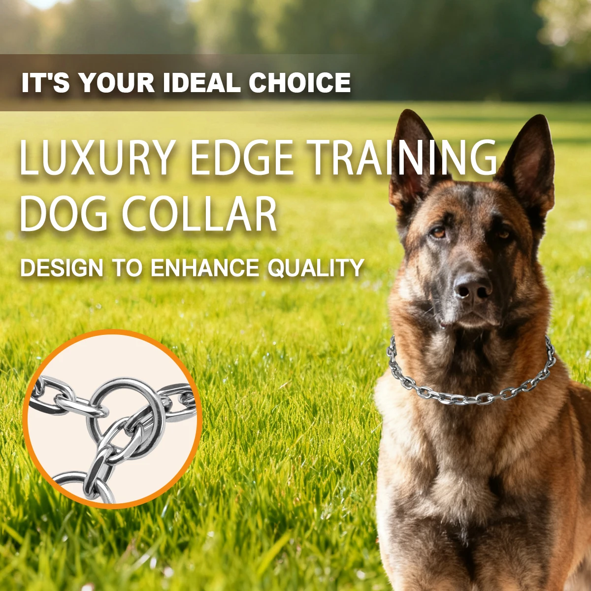 Luxury Stainless St…