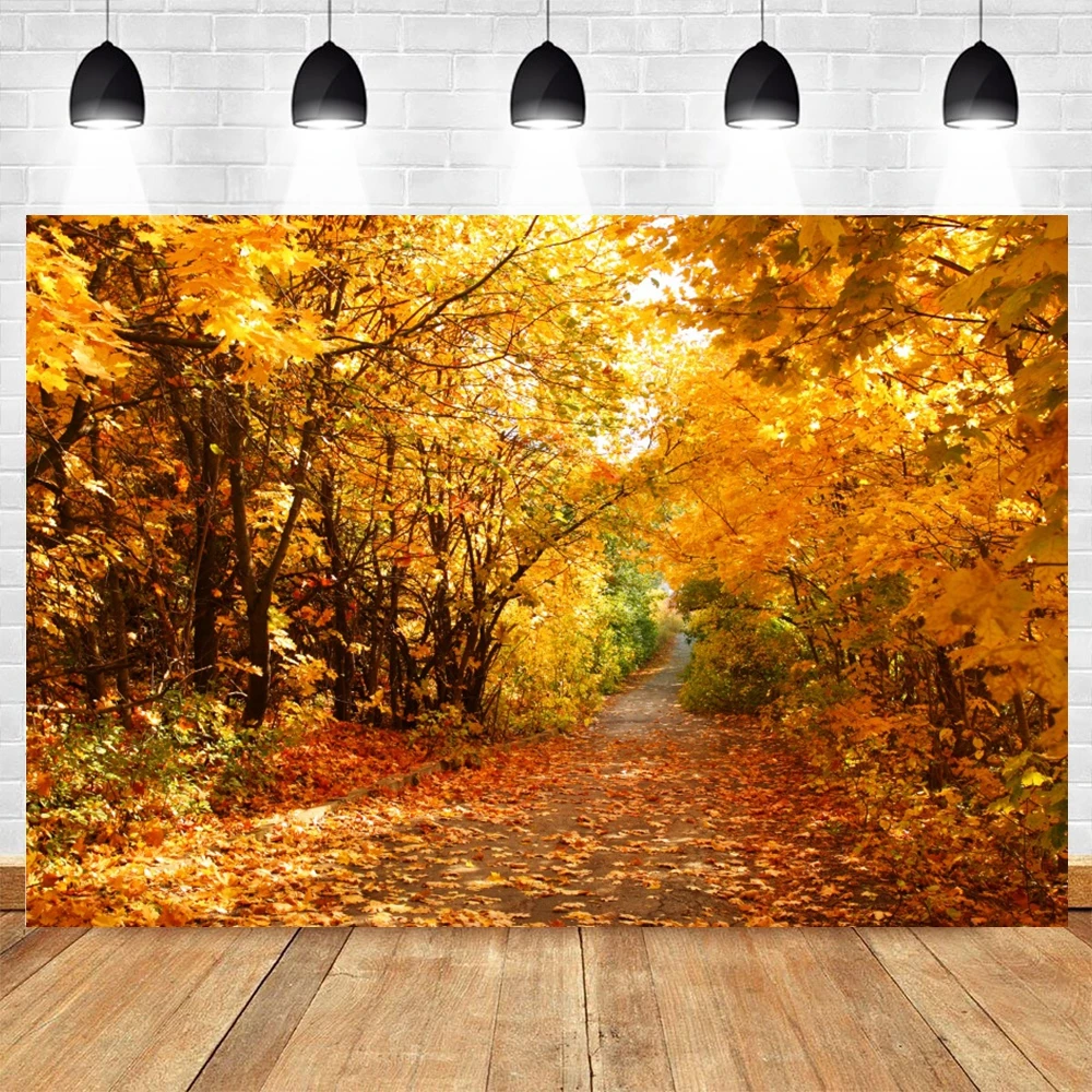 Autumn Scenery Backdrop for Photography Fall Forest Fallen Leaves Pumpkin Natural Landscape Portrait Photo Background Studio