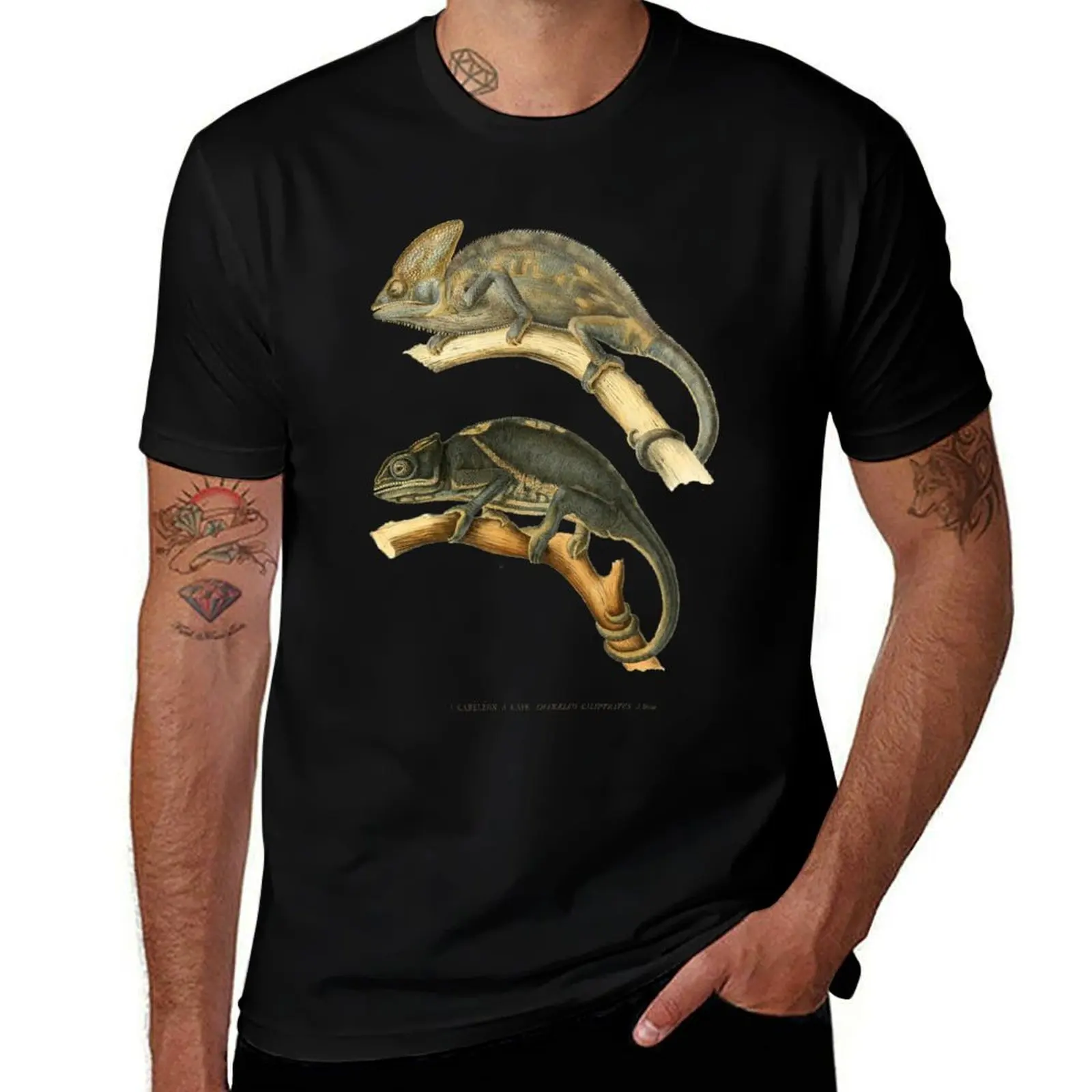 Chameleon Scientific Illustration T-Shirt Athletic Fit Sports Short Sleeve Top T-Shirt