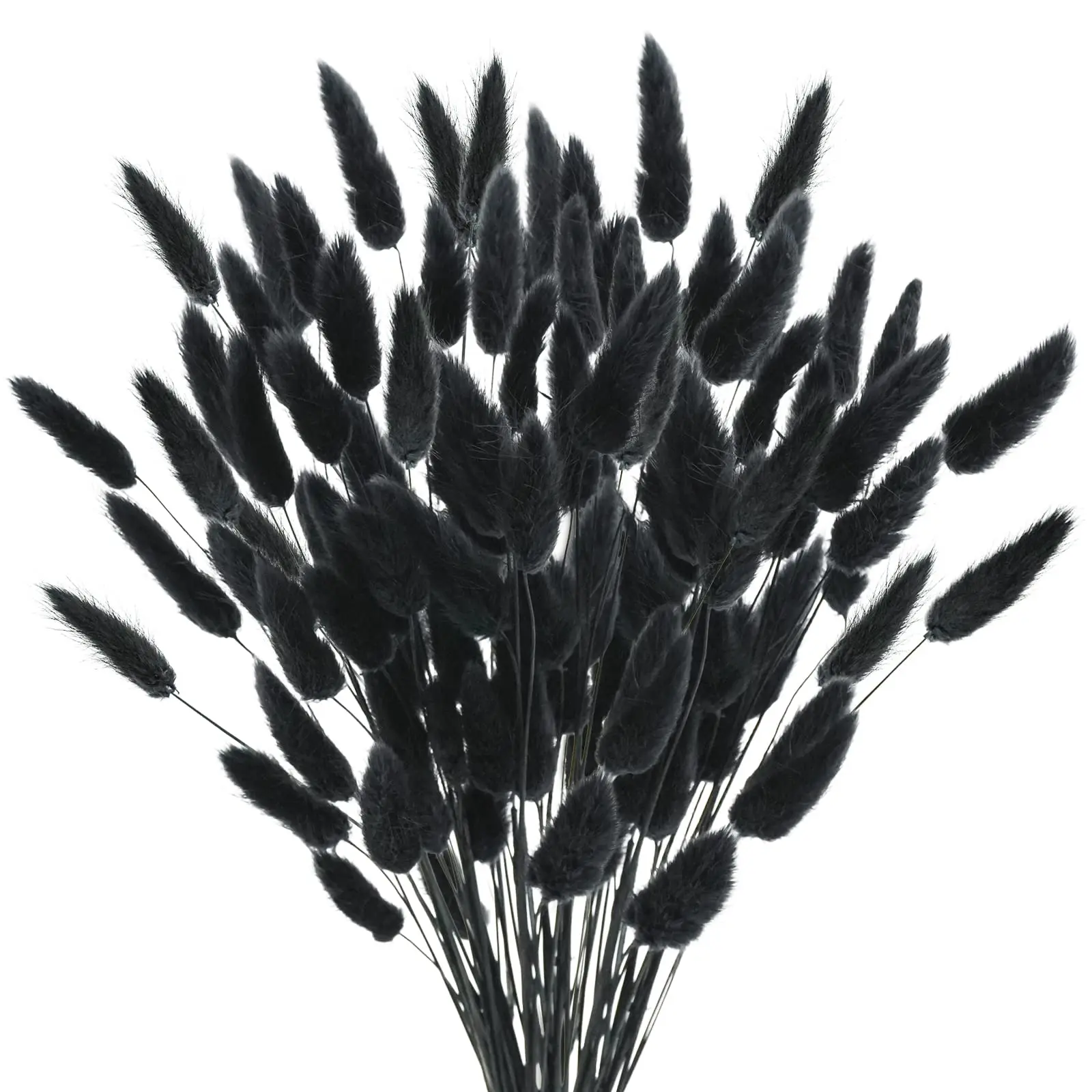 100pcs Natural Black Bunny Tails Dried Flowers Farmhouse Flower Arrangements,Lagurus Ovatus,Pampas Grass Decor for Wedding Craft