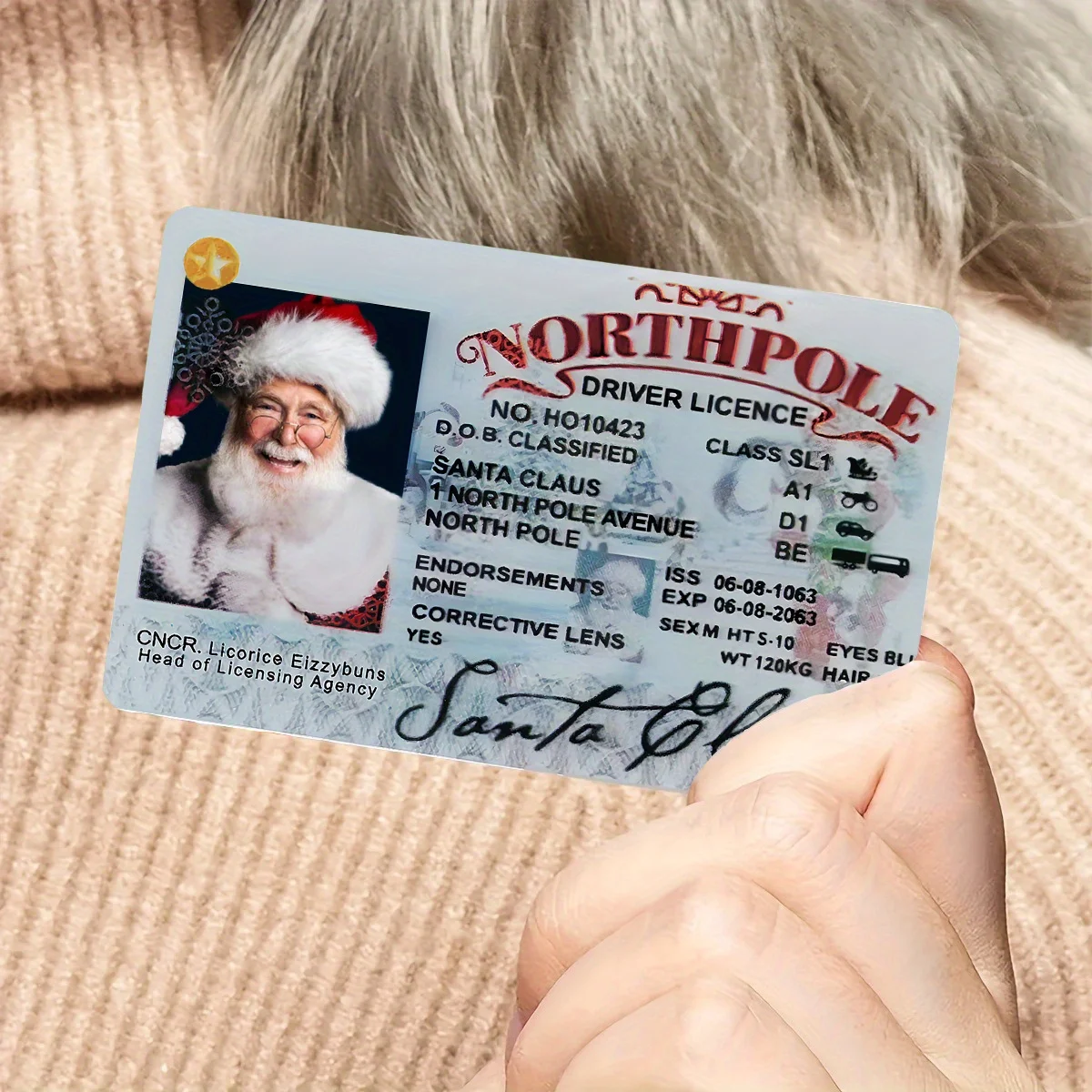 1pc Santa Claus Virtuelle Lizenz Schlitten Führerschein Weihnachten Spiel Requisiten Santa Claus Spielen Requisiten