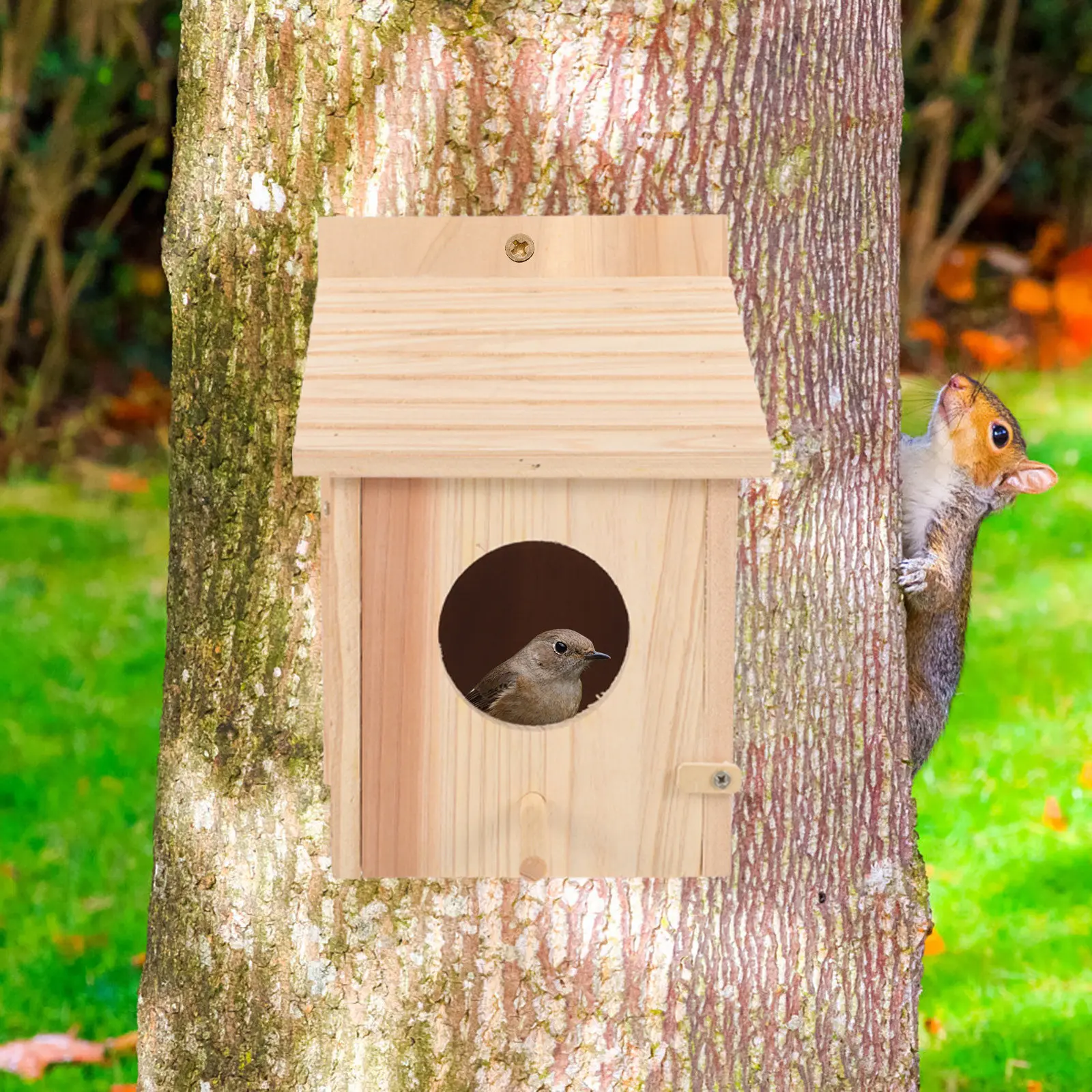 

Подвесная деревянная лежанка для попугаев, корелл и мелких птиц, натуральный деревянный домик-гнездо, укрытие для садовых птиц, теплое и безопасное место для сна