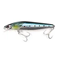 sardine