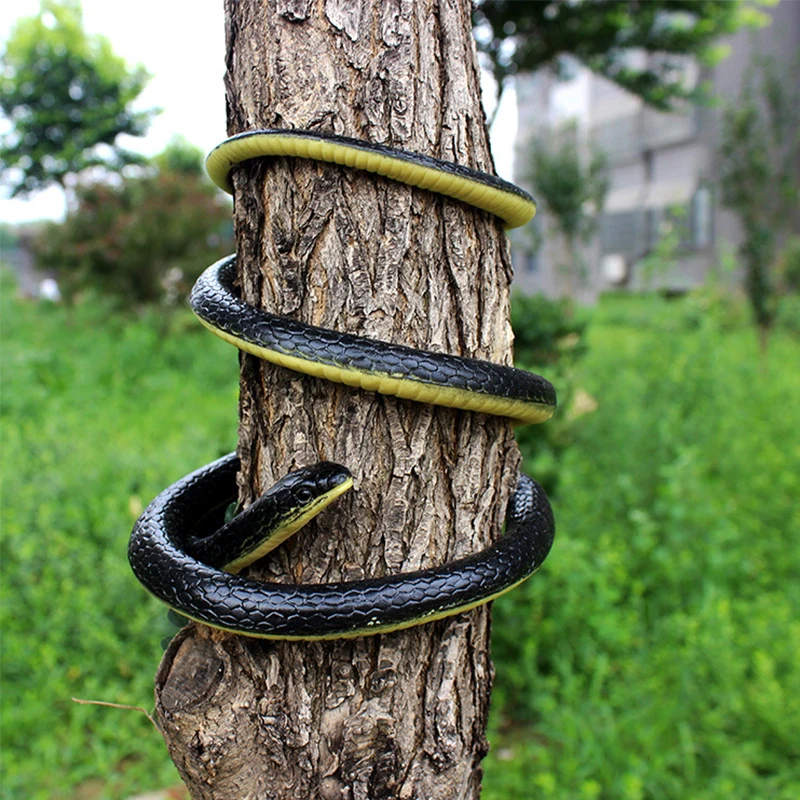 Best Python Prank Props on AliExpress: Realistic, Safe, and Perfect for Halloween Fun