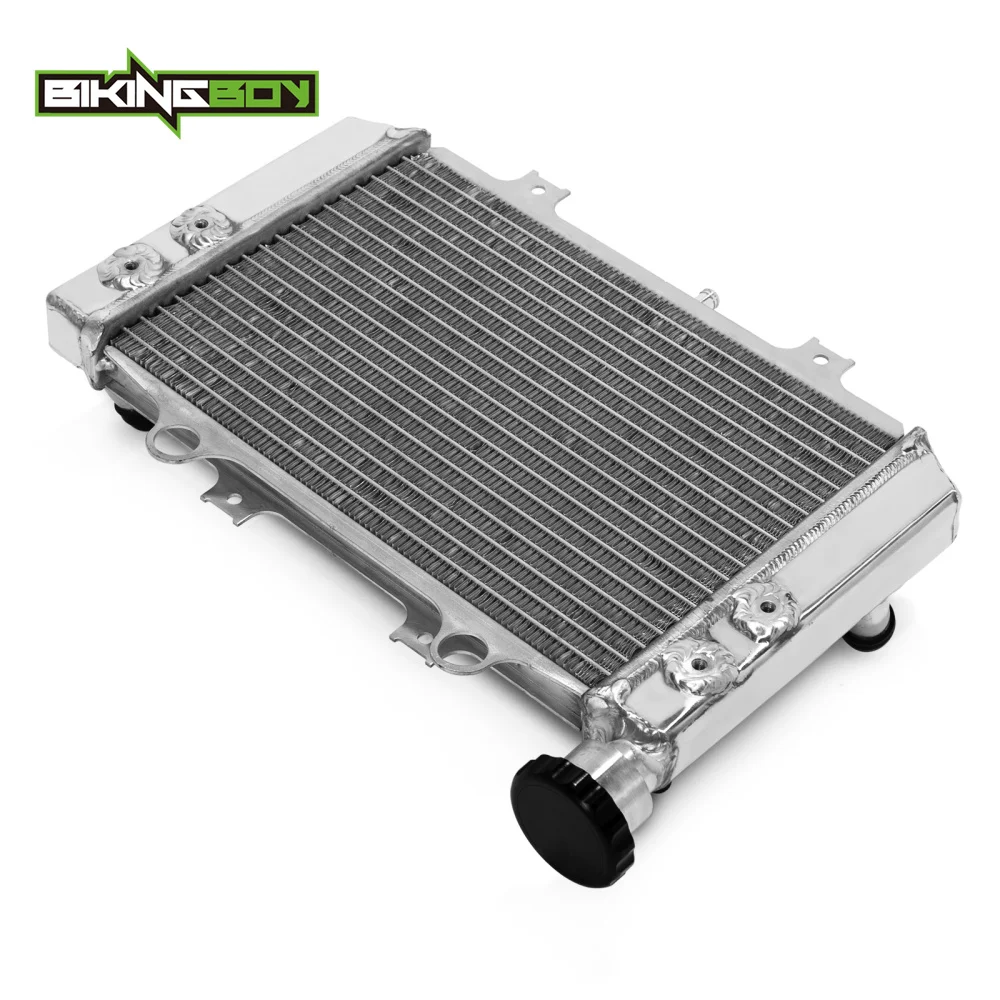 BIKINGBOY Engine Radiator Cooling For BMW G310GS 18 19 20 21 22 G310R 2017-2022 Water Cooler G 310 GS R Polished 17118558350