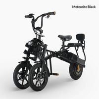 Electric Tricycle Afreda S6 Ebike Camping Folding Scooter Dual Battery Two wheel steering independent suspension