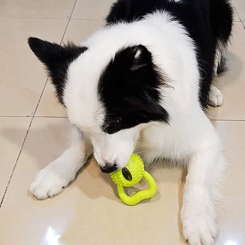 Juguetes de Limpieza de dientes para perros, juguetes interactivos de hueso, resistentes a las mordeduras, ecológicos, seguros