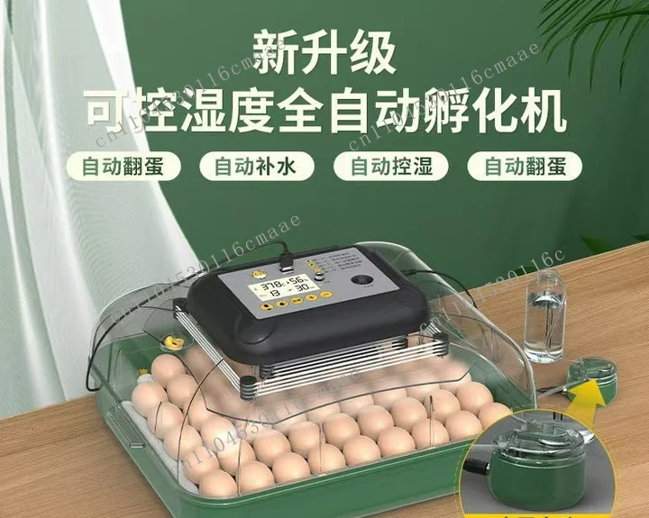 Fully automatic household parrot pigeon chicken incubator egg