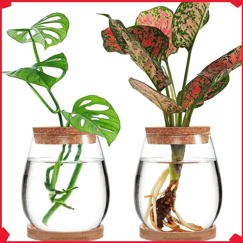 

B17B 4 Piece Mini Transparent Terrarium Glass As Shown Glass Garden Living Room Home Tabletop Decoration