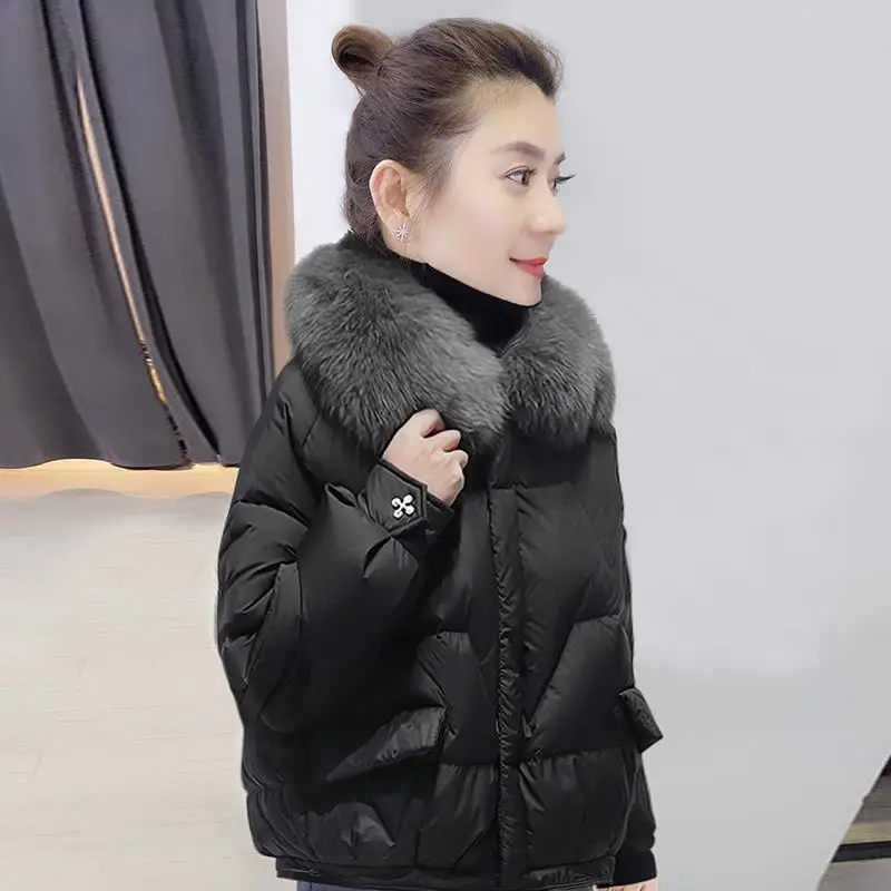 2023 Winter Coat Women New Fashion Stand Collar Cotton Clothes Short Loose Down Coat