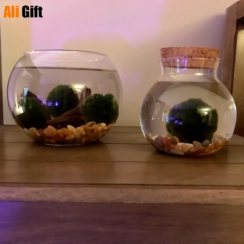 500/1000/1800 ML Micro Landscape Glass Bottle Vase Mouth Ball Moss DIY Bottles Home Decoration Wooden Lid Vases Tea caddy ZAKKA