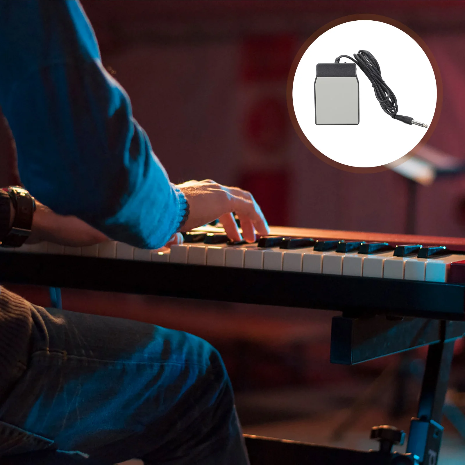 

Electronic Organ Sustain Pedal Nonslip Thickened Durable Piano Foot Pedal for Electric Piano Professional Accessory